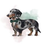 INSTAGRAM_Kafelki_500x500px--64